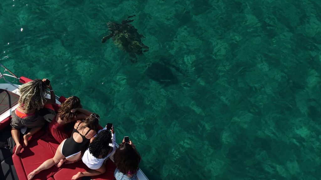 South Coast: Turtles & Mizithres Rocks (3 hours)